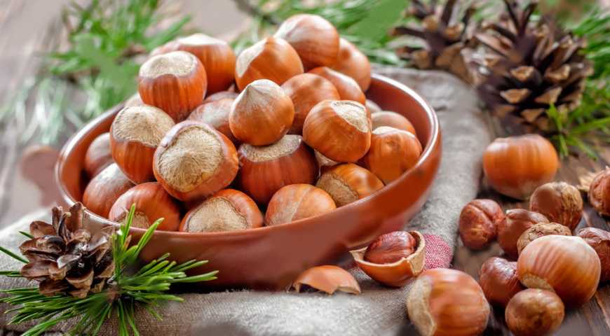 Фундук може приносити 8 тисяч євро з гектару