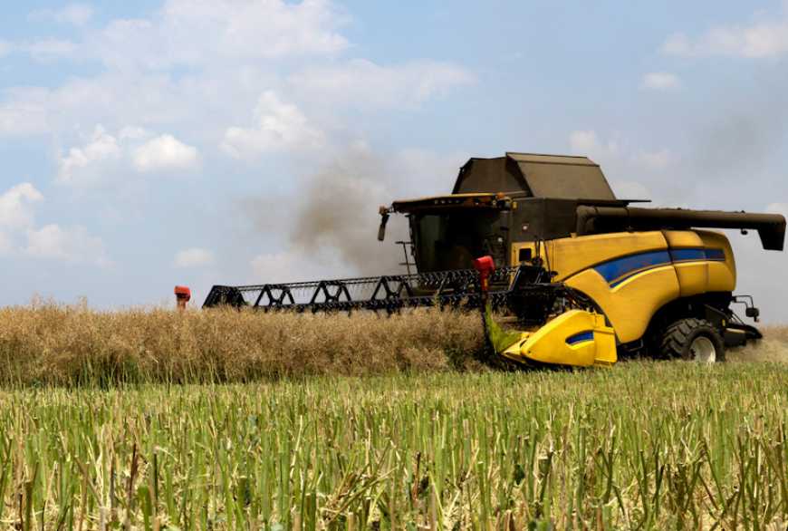 Чи потрібна десикація в агросезоні &ndash; 2024?