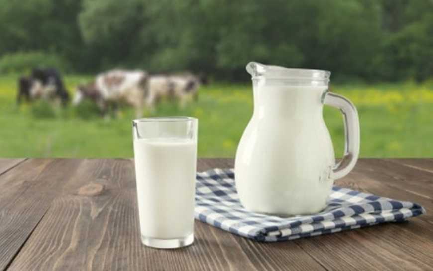 Україна утримує абсолютне лідерство у постачаннях молока до Молдови