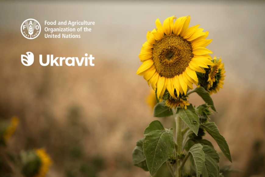 Ukravit і ФАО підтримують фермерів, які постраждали від війни
