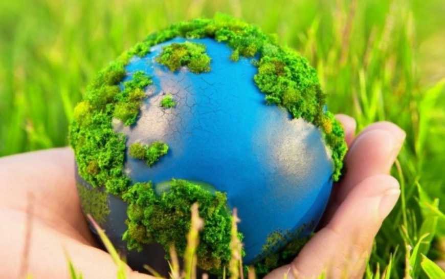 Для підприємців готують екологічні декларації