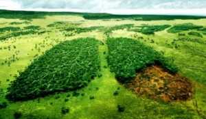 В Україні планують збільшити штрафи за забруднення довкілля