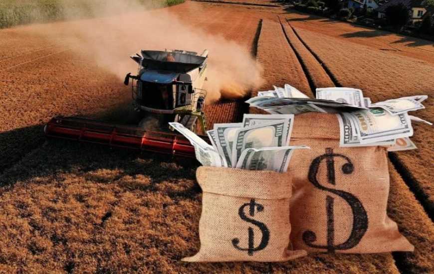 Ринок землі: ціни в Україні за рік зросли майже на 13%