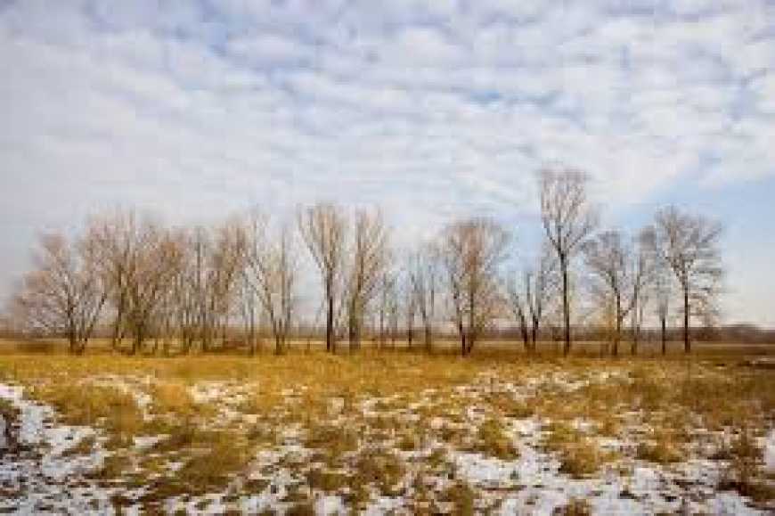 &quot;Аномально теплі&quot; зими матимуть позитивні наслідки для сільського господарства