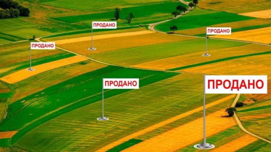 В ЄС підтримують відкриття ринку землі в Україні