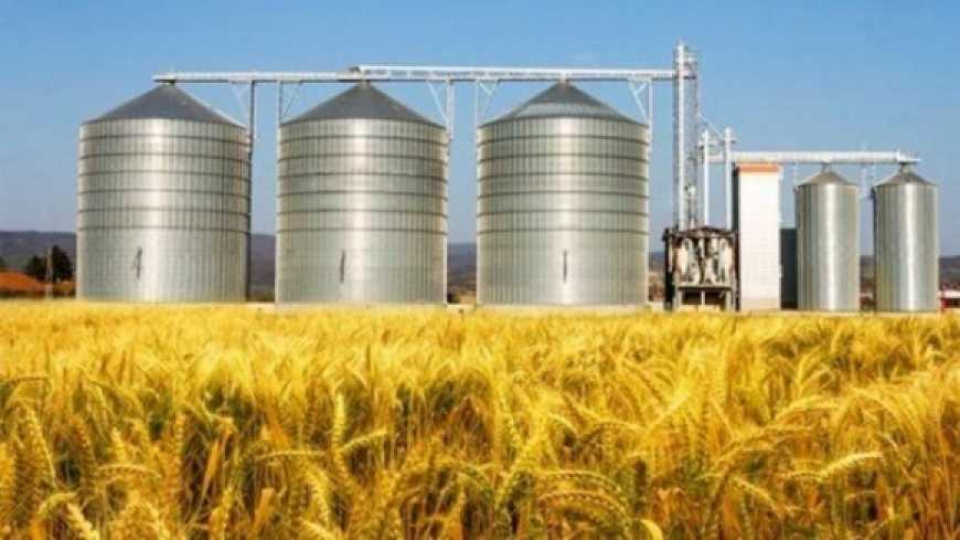 Дніпропетровщина очолила всеукраїнський рейтинг виробників у сільському господарстві