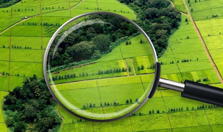 Агрокомітет Ради підтримав законопроєкт про спрощення зміни цільового призначення землі