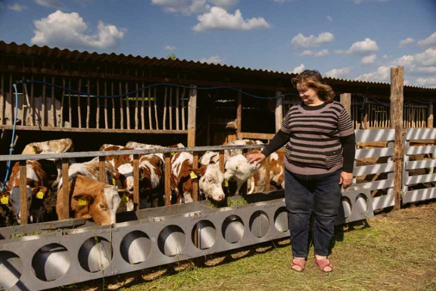 Німеччина підтримує зусилля України з відновлення та зміцнення стійкості