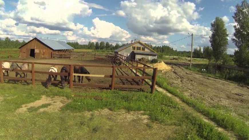 Нардепи хочуть скасувати податок на приватні курятники та свинарники