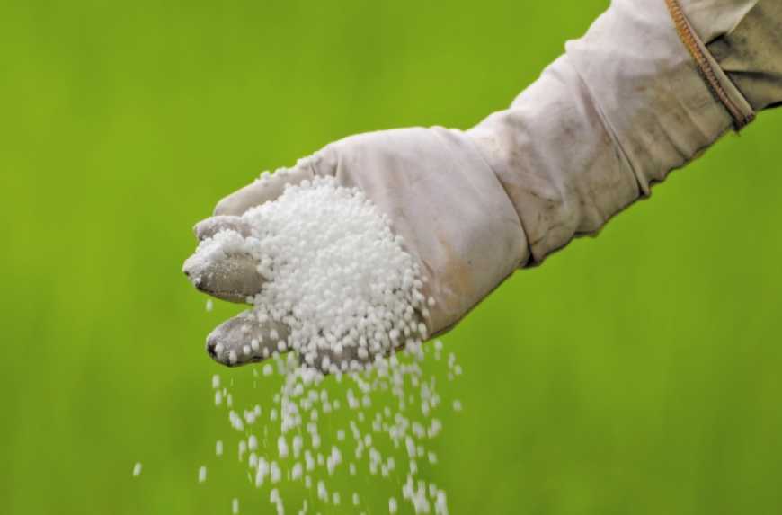 Українські аграрії можуть залишитися без добрив через заборону Кабміну
