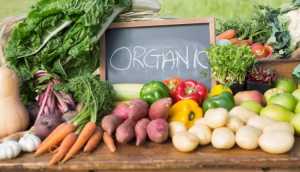 Органічне виробництво в Україні: чи вигідно фермерам переходити на organic