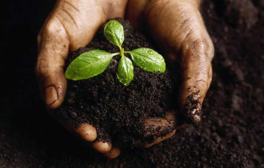 Громади отримають право розпоряджатися землею без погодження з державою