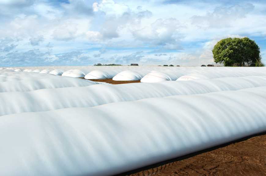 Зберігання зерна в рукавах: собівартість у середньому становить 225 грн/т