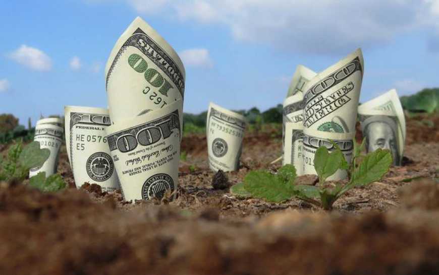 Протягом наступних трьох років уряд планує виділити аграріям 13,5 млрд грн держпідтримки