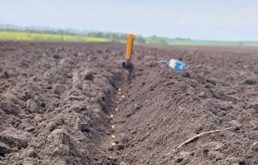 Посівна-2024: у Групі АГРОТРЕЙД підбили підсумки