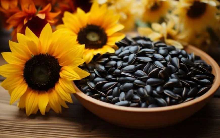 Ринок соняшнику: ціни в Україні минулого тижня продовжували зростати