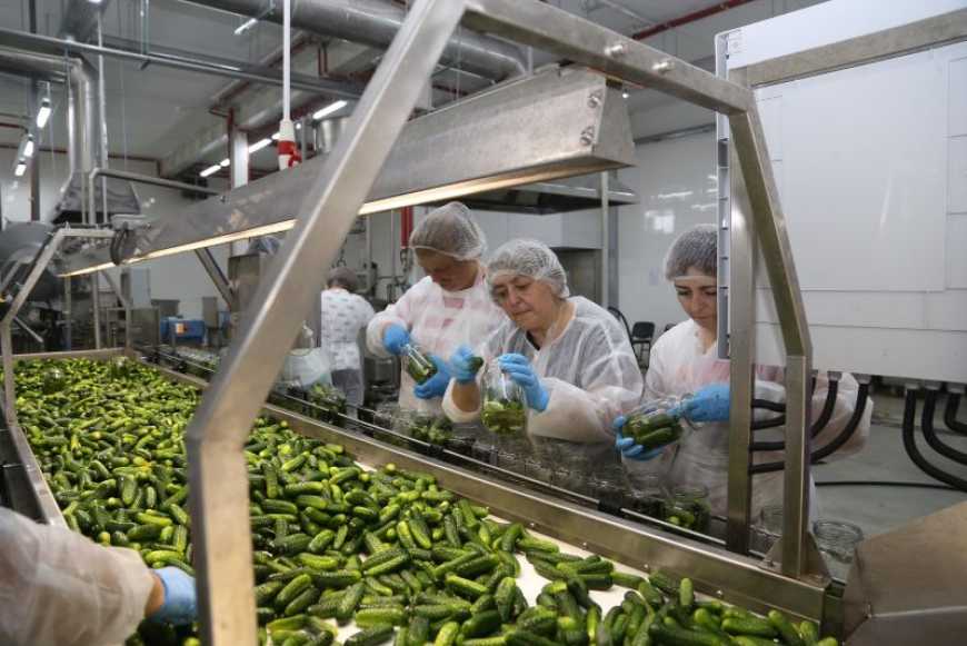 Консервний завод на Тернопільщині планує експортувати продукцію до країн Балтії та Ізраїлю