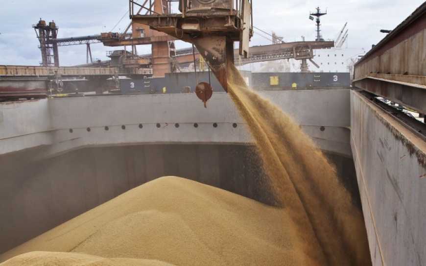 У портах України ціни на продовольчу пшеницю оновили рекорд