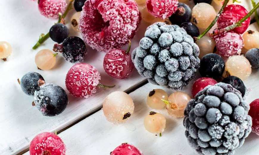 T.B. Fruit переносить потужності шокової заморозки овочів і фруктів з Польщі до України