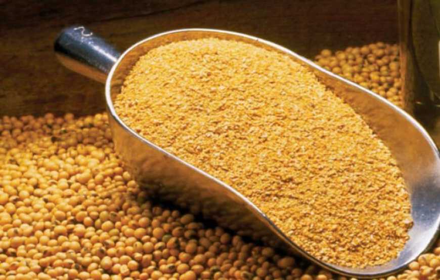 Попри блокаду західного кордону Україна збільшила експорт соєвого шроту до Польщі