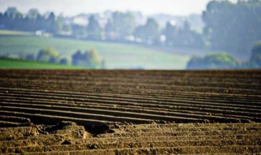 Шокуюча статистика: стало відомо, скільки власників паїв здають свою землю в оренду