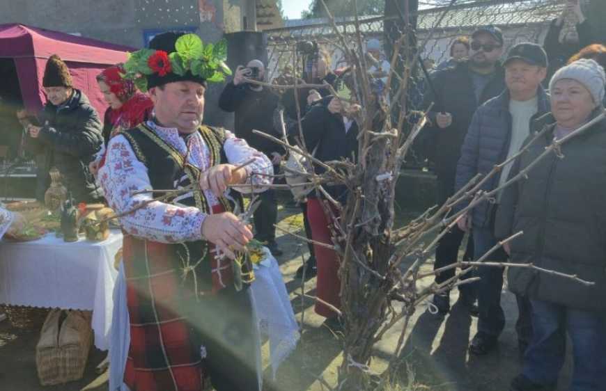 На Одещині відбулось традиційне свято виноградарів та виноробів