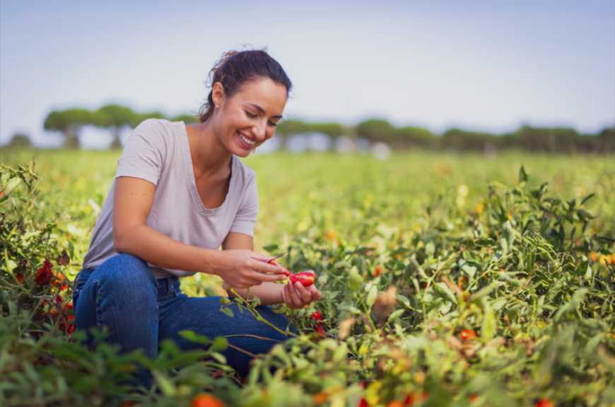 Corteva відкриває нові можливості українських фермерок, надаючи їм доступ до сучасних агрономічних знань