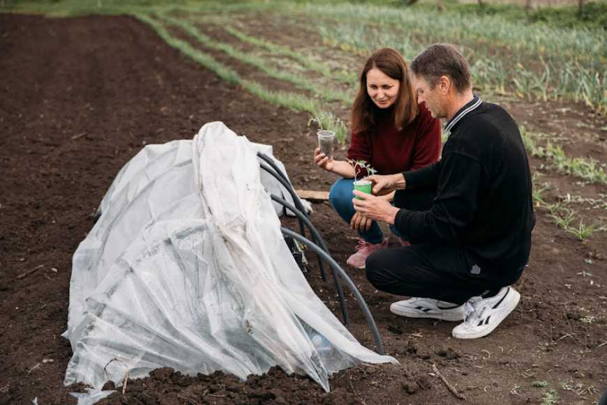 ФАО розпочинає програму підтримки фермерів Миколаївської області