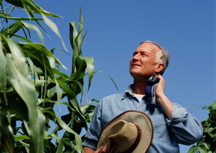 Bayer Crop Science оголошує нову стратегію виходу на ринок