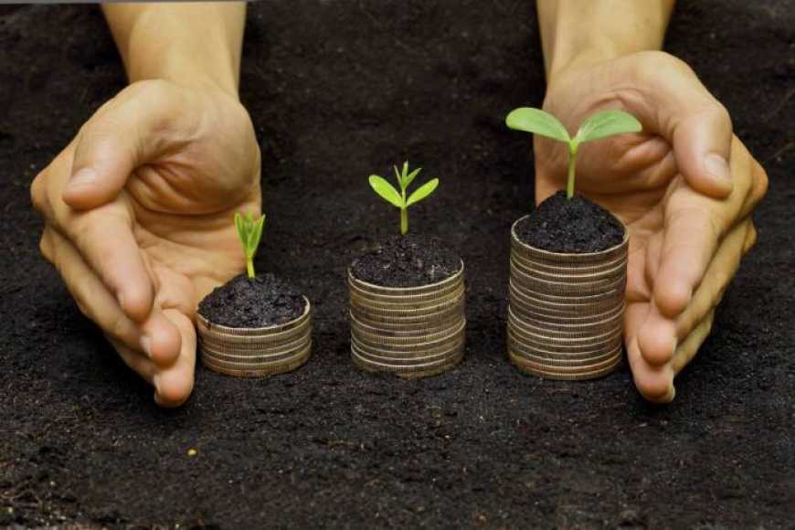 Компанія ALFA Smart Agro розвиває новий напрям діяльності – трейдинг агропродукцією