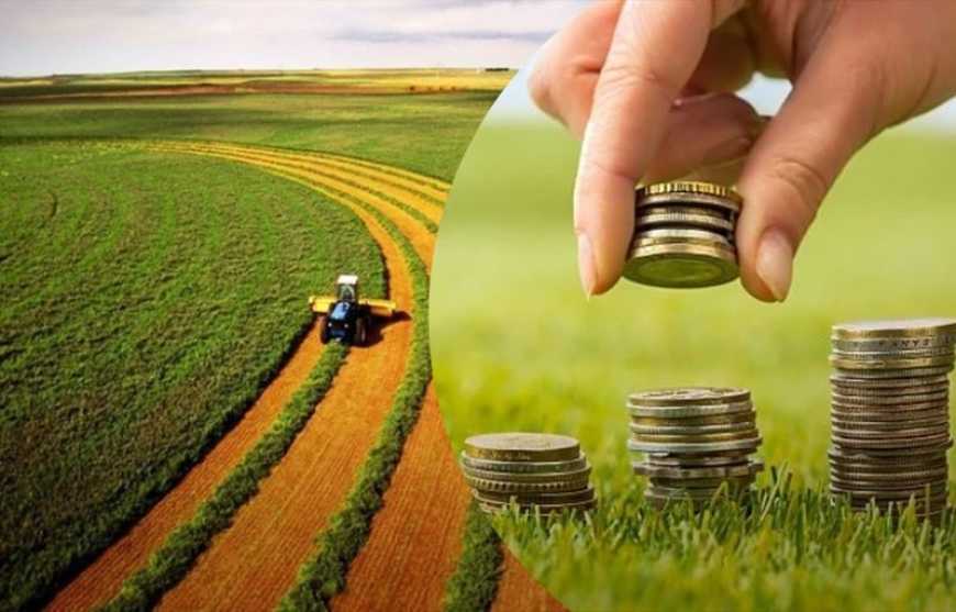 Земельний податок: від початку року українці сплатили 33,8 млрд грн