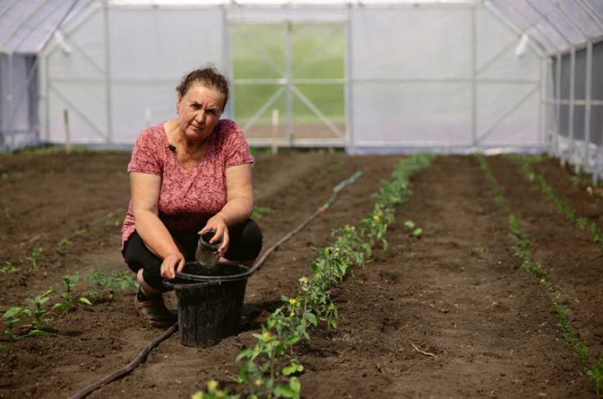 Звіт ФАО: сільське господарство залишається джерелом існування для сільських родин на території України, що постраждала від війни