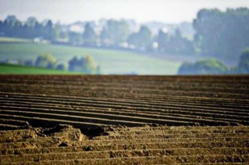 Західні ЗМІ заговорили про український мораторій на продаж землі