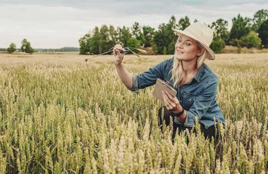 TalentA-2024: Corteva допоможе 118 фермеркам зміцнити бізнес в воєнних умовах у рамках Програми