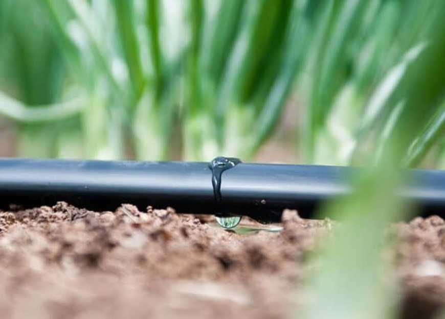 Господарство на Миколаївщині розширює площі земель під зрошенням