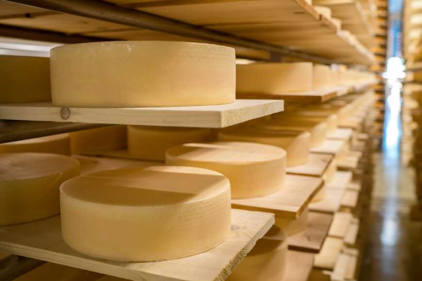 Виробники сиру в Україні підняли ціни на 2,5%