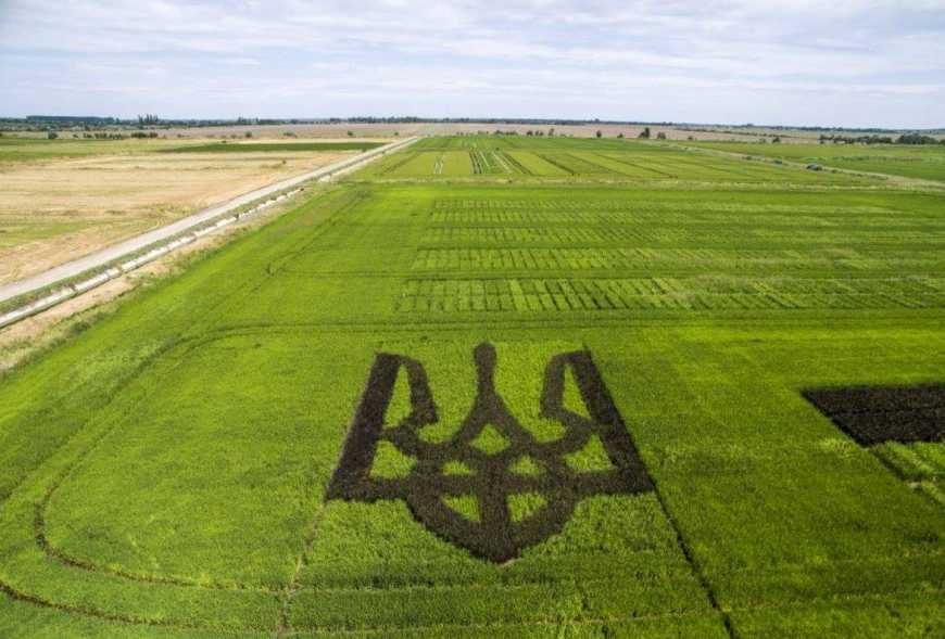 Президент підписав закон щодо обігу земель сільгосппризначення