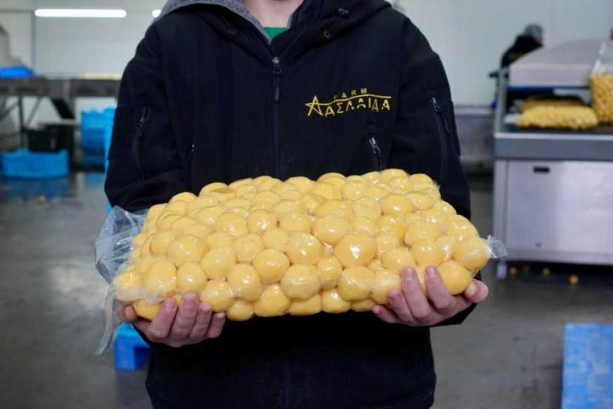 На Житомирщині господарство почало власну переробку картоплі