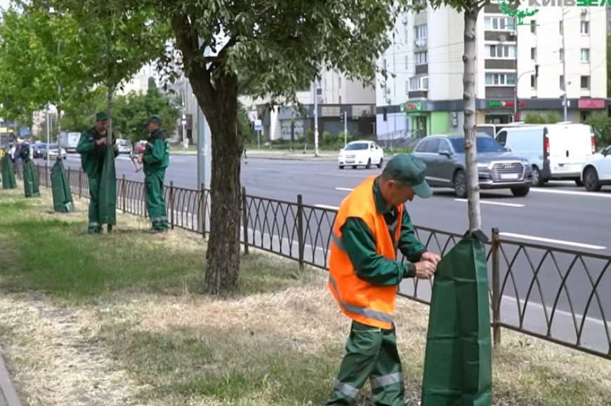 У парках та скверах Києва встановлюють спеціальні мішки для поливу дерев