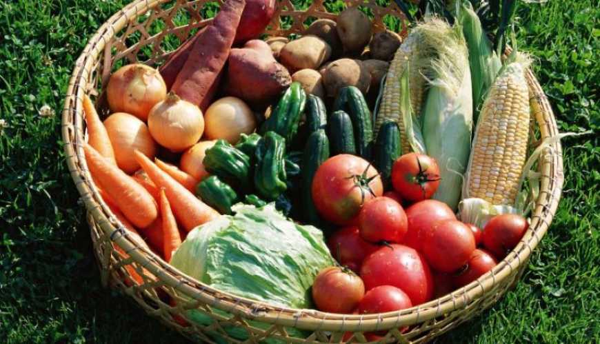 Торік в Україні ринок насіння овочів перевищив довоєнний рівень