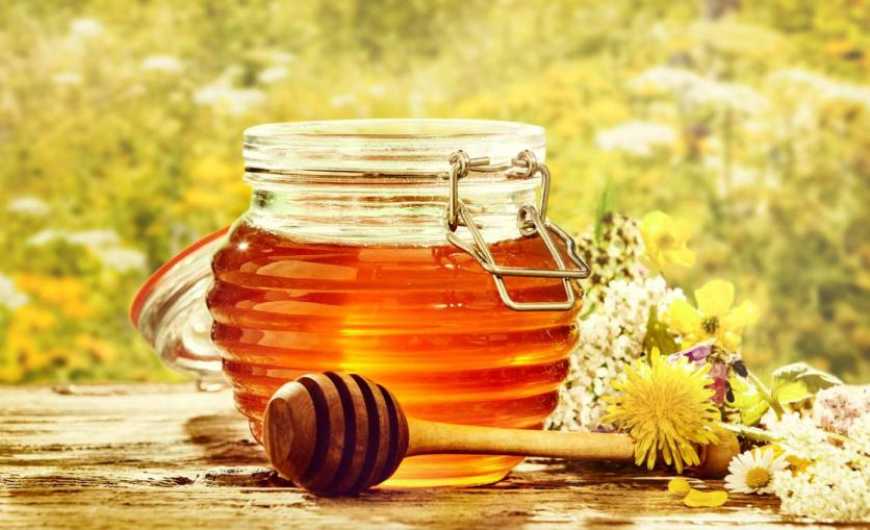 ЄС може ввести мита на українські мед, кукурудзу й курятину