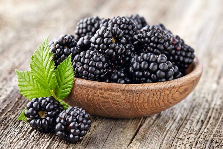 За тиждень ожина подешевшала на 13-14%