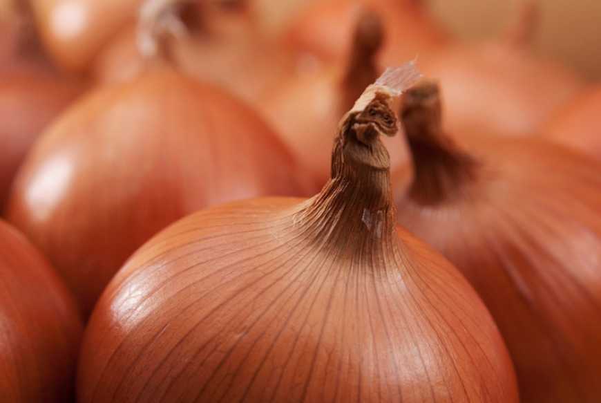 Ціни на цибулю за тиждень знизилися на 21%