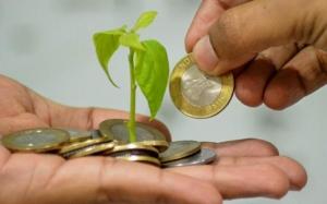 ОТП Банк видаватиме спецкредити на покупку ЗЗР ALFA Smart Agro