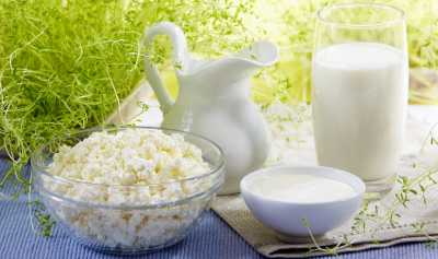 Україна скоротила експорт молокопродуктів на 20%