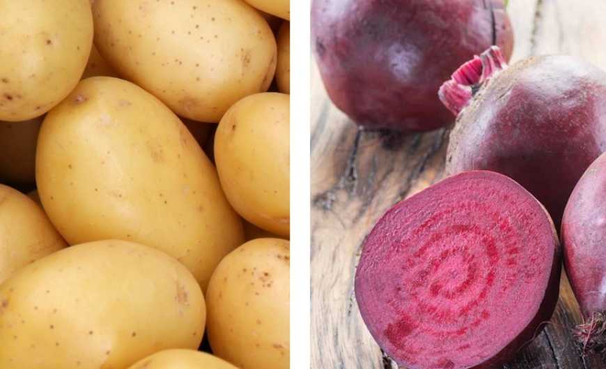 Овочі борщового набору: в Україні дешевшають картопля і столовий буряк