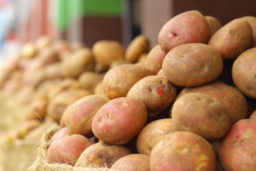 Ціни на картоплю в Україні зростають другий тиждень поспіль