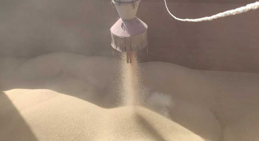 Україна перевозить зерно більше морем, аніж суходолом - Укрзалізниця