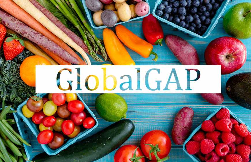 В Україні зросла кількість сертифікованих виробників за стандартом GLOBALG.A.P.
