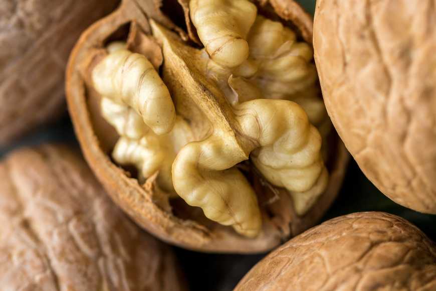 Україна увійшла у топ-10 світових виробників волоських горіхів